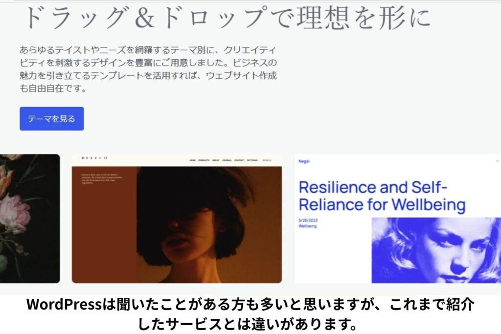 WordPressの説明画像